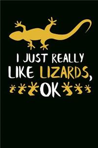 I Just Really Like Lizards, Ok