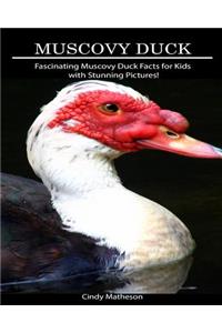 Muscovy Duck: Fascinating Muscovy Duck Facts for Kids with Stunning Pictures!