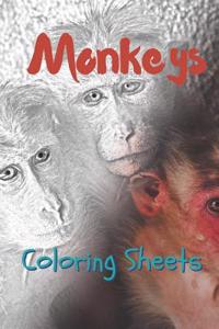 Monkey Coloring Sheets