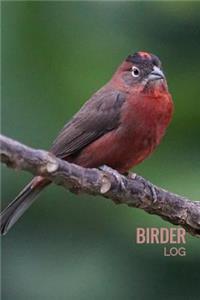 Birder Log