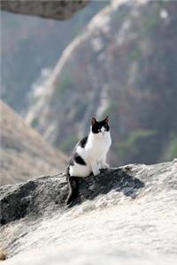 Black and White Cat Mountain Climber Adventure Journal