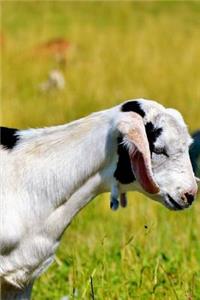 Notebook Goat Keeping in the Meadows