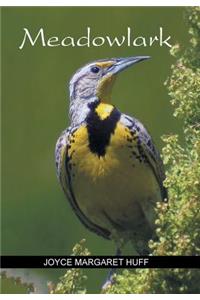 Meadowlark