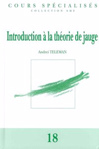 Introduction a la theorie de jauge