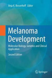 Melanoma Development