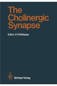 Cholinergic Synapse