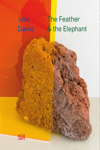 Jose Dávila: The Feather and the Elephant