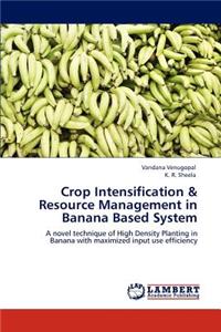 Crop Intensification & Resource Management in Banana Based System