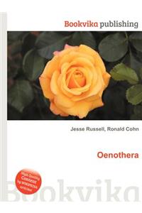 Oenothera