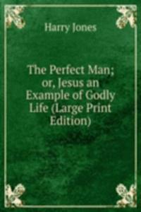 Perfect Man; or, Jesus an Example of Godly Life (Large Print Edition)