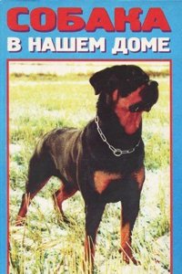 American interoceanic canals;