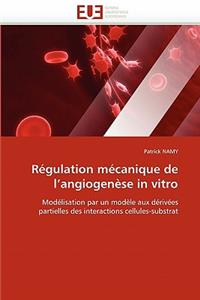 Régulation mécanique de l''angiogenèse in vitro