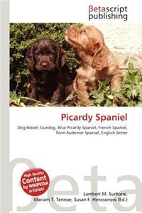 Picardy Spaniel