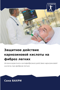 Защитное действие карнозиновой кислоты