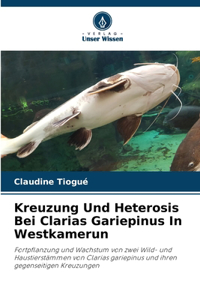 Kreuzung Und Heterosis Bei Clarias Gariepinus In Westkamerun