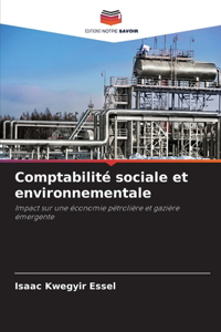 Comptabilité sociale et environnementale