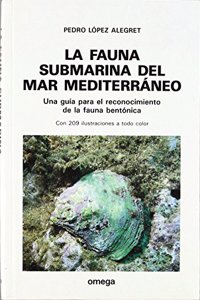 LA FAUNA SUBMARINA DEL MAR MEDITERRANEO