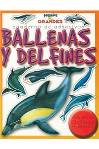 Ballenas Y Delfines