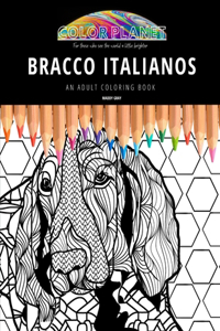 Bracco Italianos