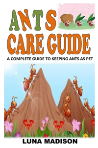 Ants Care Guide