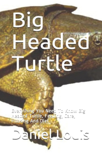 Big Headed Turtle