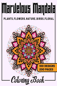 Marvelous Mandala Coloring Book