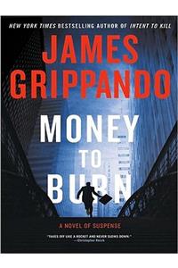 Money To Burn Large Print