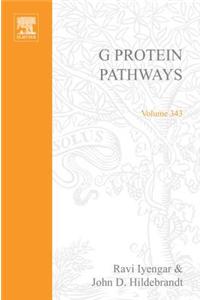 G Protein Pathways