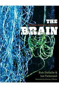 The Brain