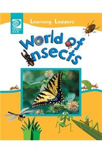 World of Insects