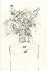 Stone Soup Sketchbook: Magic Flowers - Analise Braddock - unlined