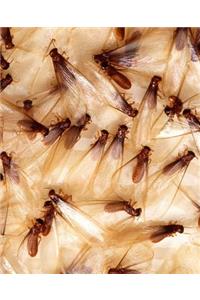 Insect School Composition Book Termites Swarm Entomology