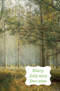 Diary July 2019 Dec 2020