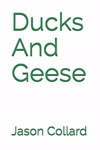 Ducks And Geese