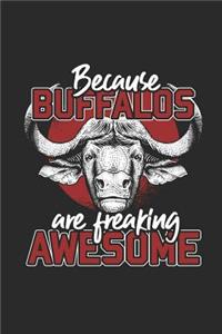 Because Buffalos Are Freaking Awesome