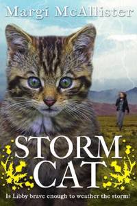 Storm Cat