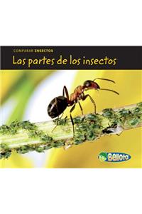 Las Partes de Los Insectos