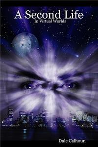 A Second Life In Virtual Worlds