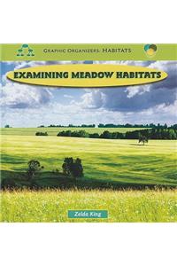 Examining Meadow Habitats
