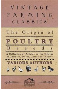 The Origin of Poultry Breeds - A Collection of Articles on the Origins of Chickens, Ducks, Geese and Turkeys