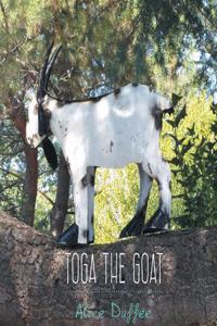 Toga the Goat