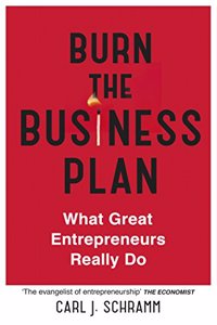 Burn the Business Plan