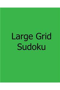 Large Grid Sudoku