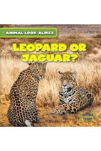 Leopard or Jaguar?