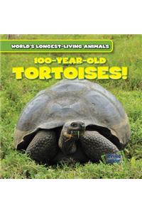 100-Year-Old Tortoises