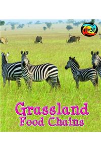 Grassland Food Chains