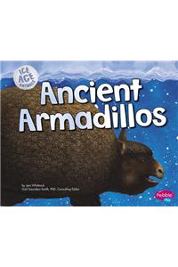 Ancient Armadillos