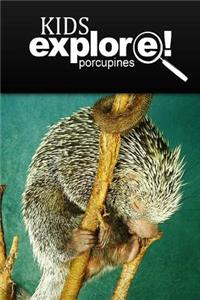 Porcupines - Kids Explore