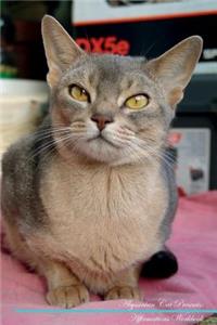Abyssinian Cat Affirmations Workbook Abyssinian Cat Presents
