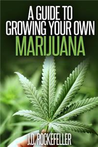Guide to Growing Your Own Marijuana